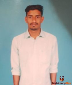 M. Lokesh
