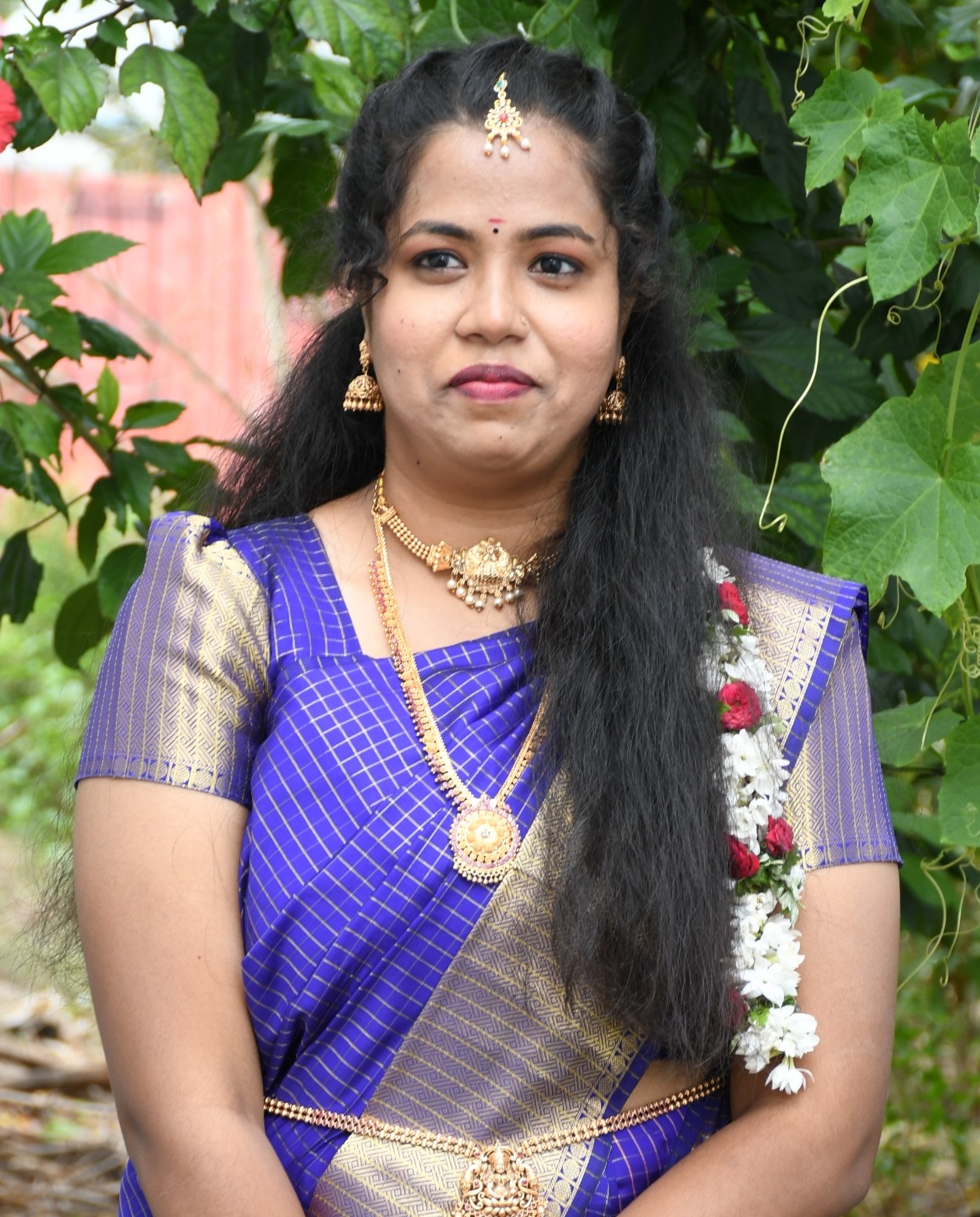MM654862